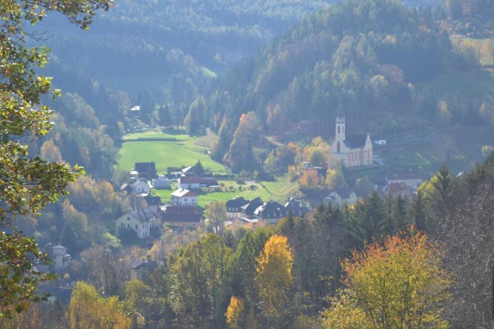 Gemuetliche Ferienwohnung - Prein An Der Rax 外观 照片