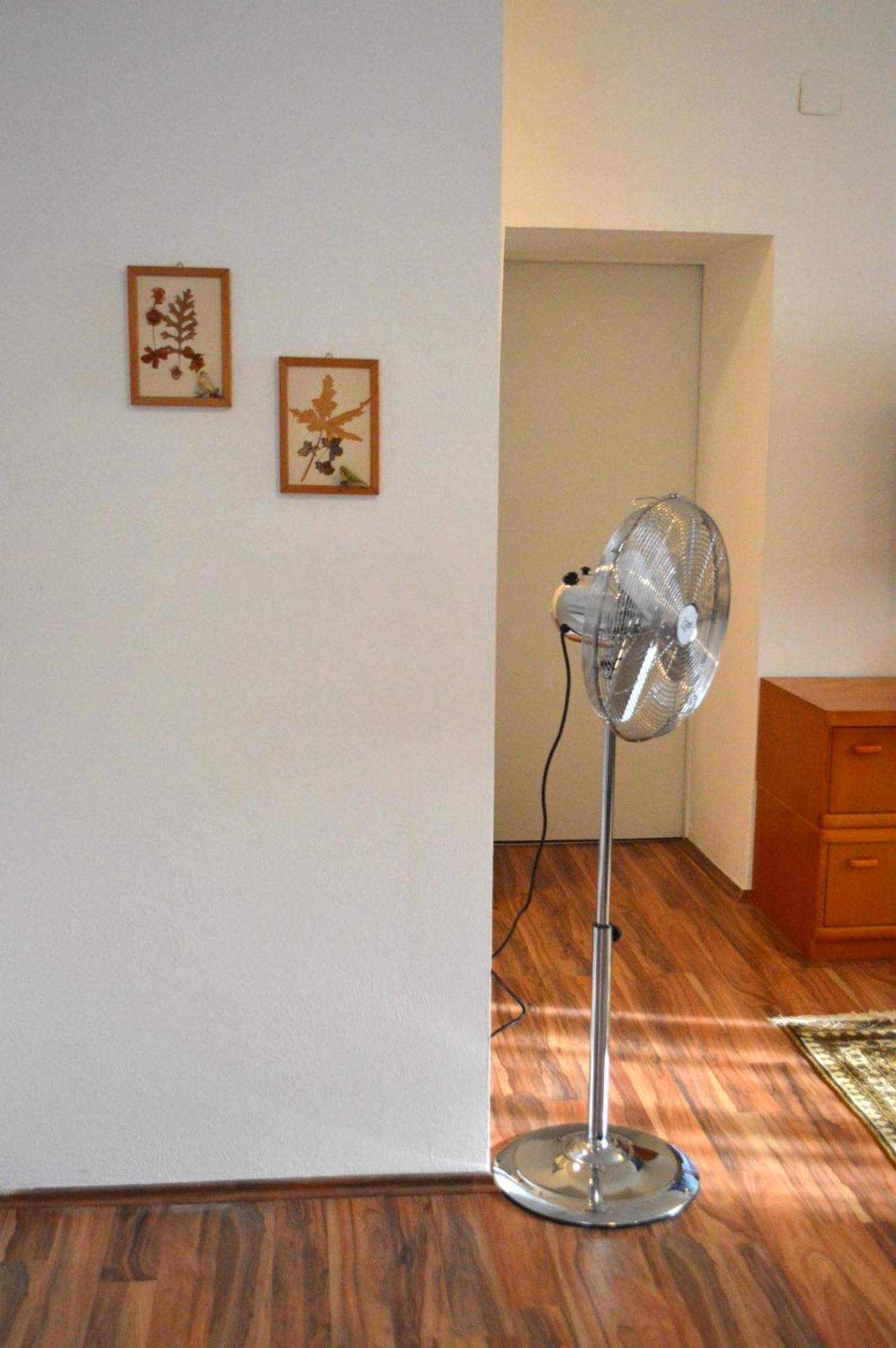 Gemuetliche Ferienwohnung - Prein An Der Rax 外观 照片